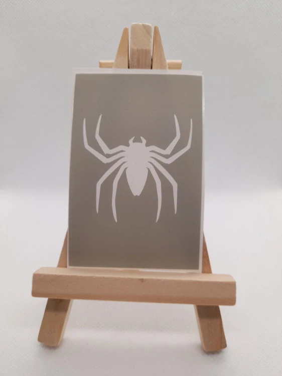 Pavouk spider