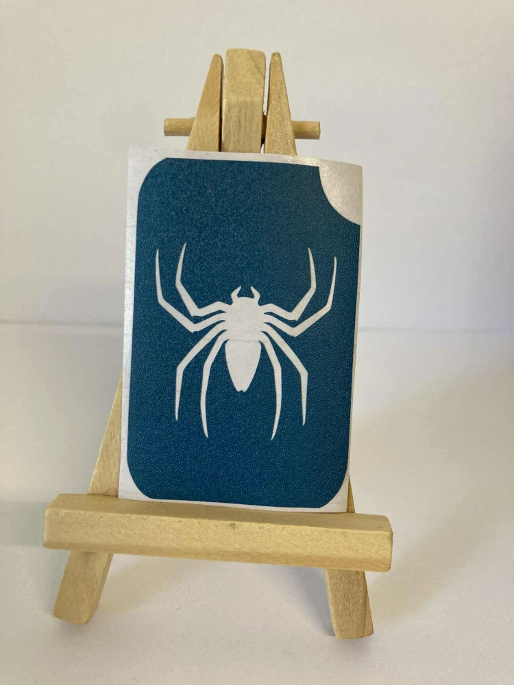 Pavouk spider