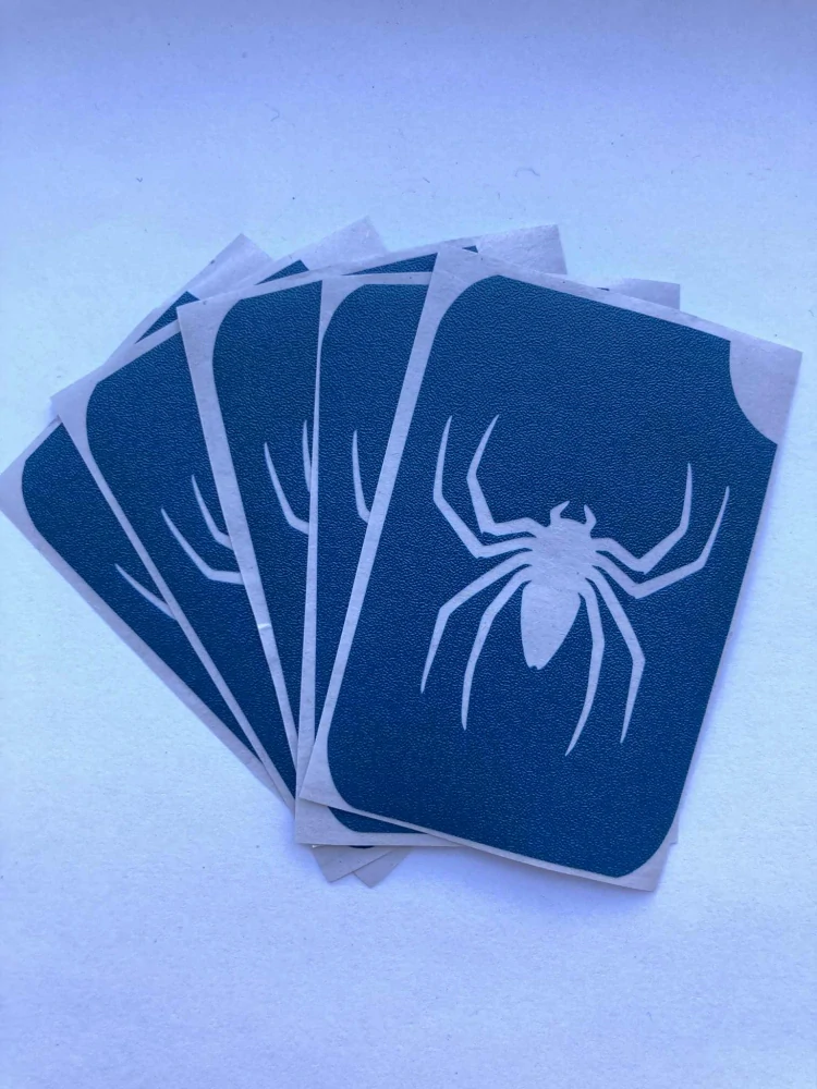 Pavouk spider