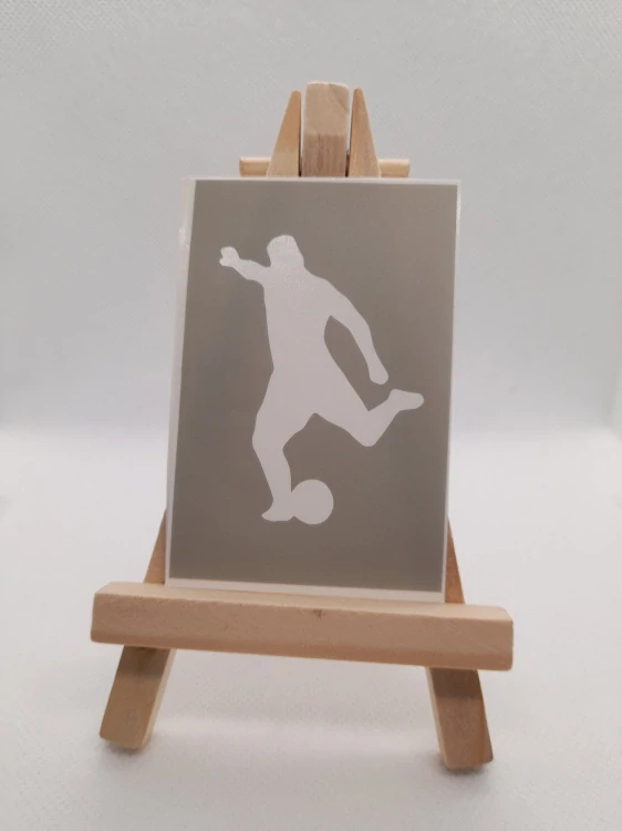 Fotbalista