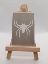 Pavouk spider