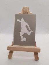 Fotbalista